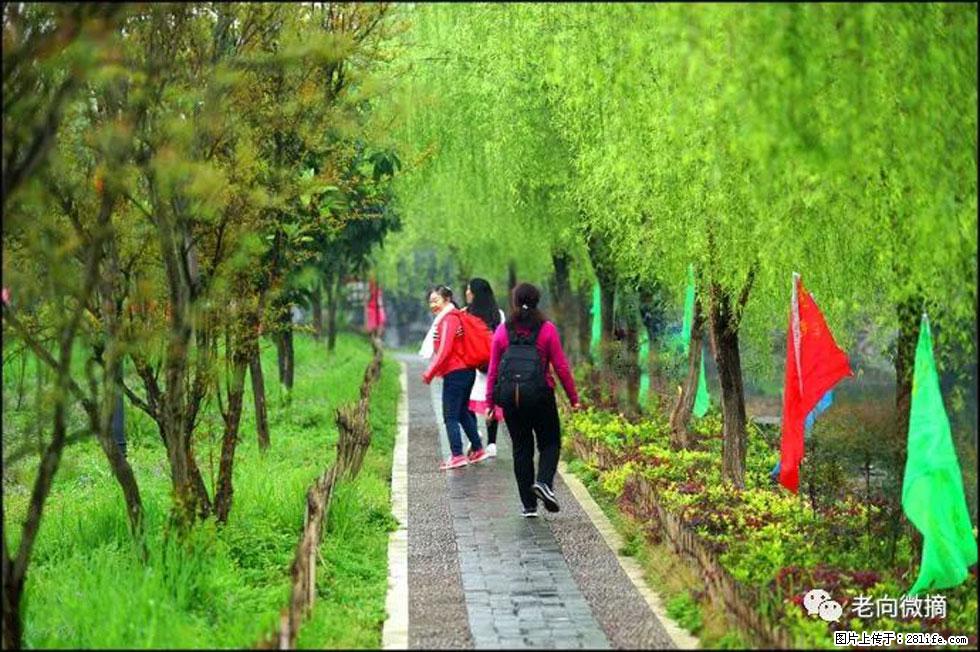 【春天,广西桂林灌阳县向您发出邀请!】江口老街又逢春 - 游山玩水 - 安康生活社区 - 安康28生活网 ankang.28life.com