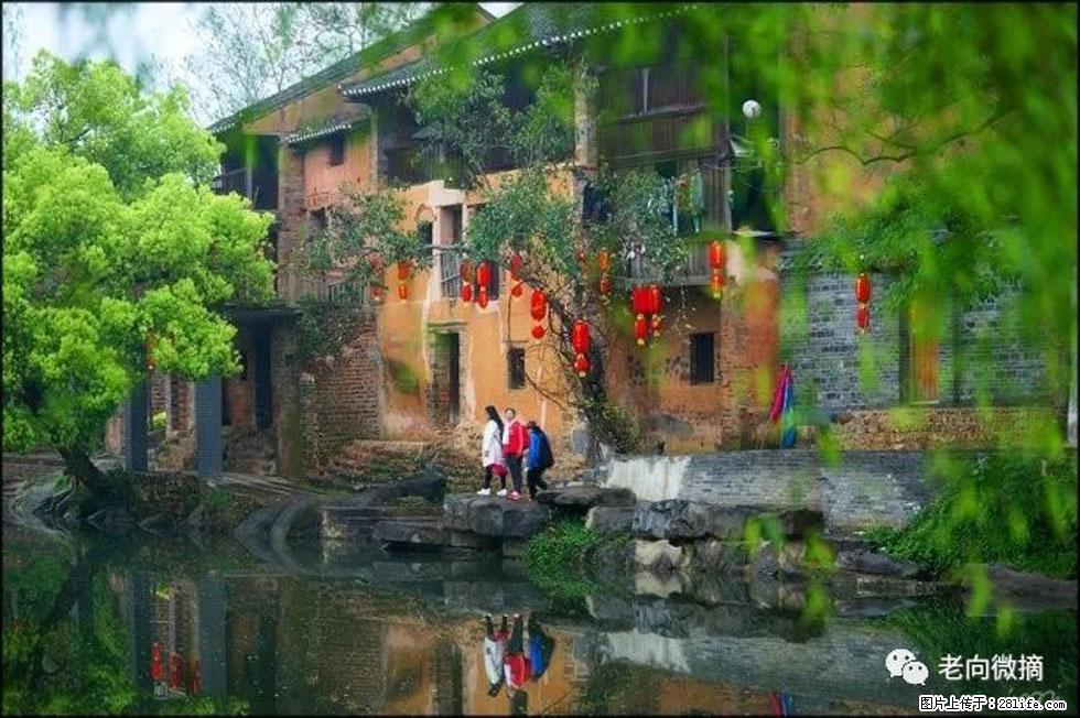 【春天,广西桂林灌阳县向您发出邀请!】江口老街又逢春 - 游山玩水 - 安康生活社区 - 安康28生活网 ankang.28life.com
