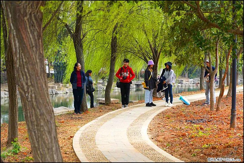 【春天,广西桂林灌阳县向您发出邀请!】江口老街又逢春 - 游山玩水 - 安康生活社区 - 安康28生活网 ankang.28life.com