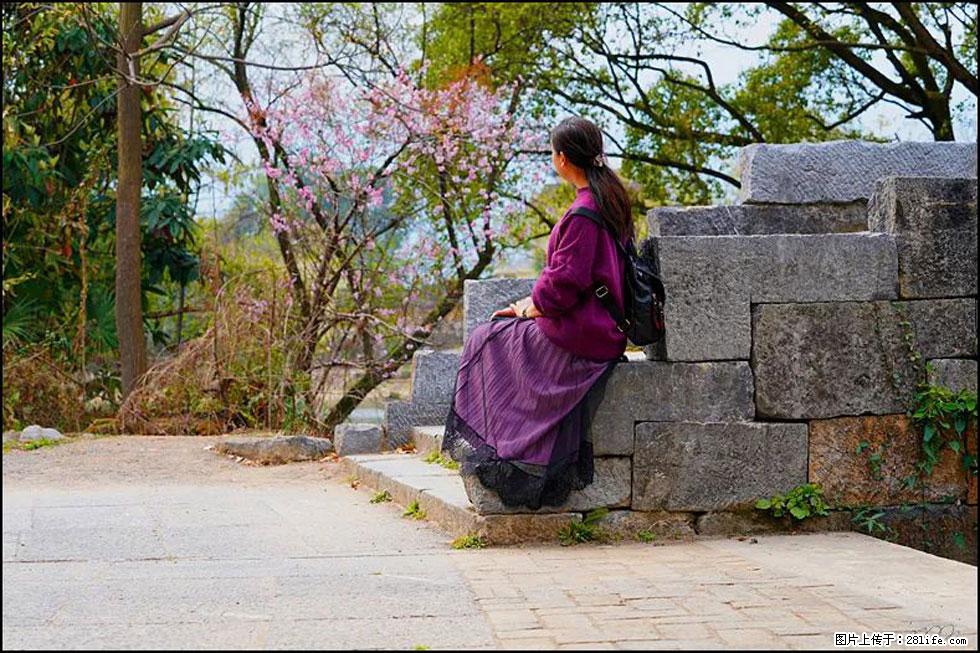 【春天,广西桂林灌阳县向您发出邀请!】江口老街又逢春 - 游山玩水 - 安康生活社区 - 安康28生活网 ankang.28life.com