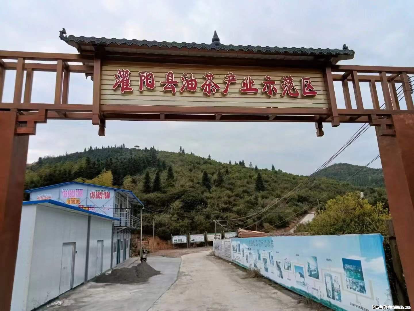 【灌阳县油茶产业示范区】一个有着充实的精神生活的人,对待身外之物自会有一种淡泊的态度 - 美食天地 - 安康生活社区 - 安康28生活网 ankang.28life.com