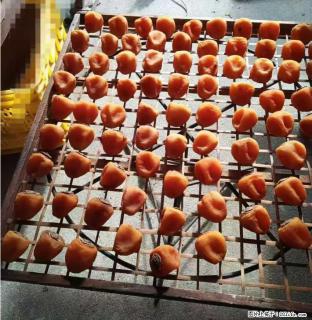 广西桂林平乐桥亭【柿饼之乡】2025年纯手工制作、无任何添加剂的第一批柿饼准备上市了，欢迎联系订购！ - 安康28生活网 ankang.28life.com