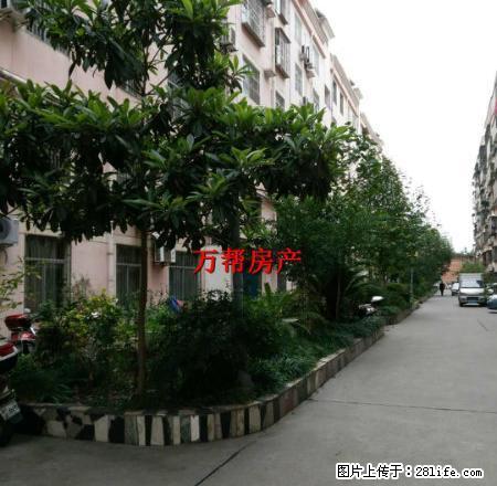 万友商场楼上馨华园 3室精装修 楼层好有钥匙看房方便 - 房屋出租 - 房屋租售 - 安康分类信息 - 安康28生活网 ankang.28life.com