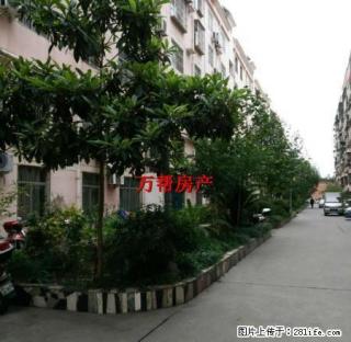 万友商场楼上馨华园 3室精装修 楼层好有钥匙看房方便 - 安康28生活网 ankang.28life.com