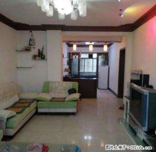 金洲路 四季商城1300元/月 2室精装修 有钥匙看房方便 - 安康28生活网 ankang.28life.com