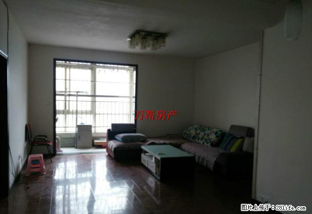 南苑国际 正规 1室1厅1卫 精美装修,家电家具齐全 - 房屋出租 - 房屋租售 - 安康分类信息 - 安康28生活网 ankang.28life.com