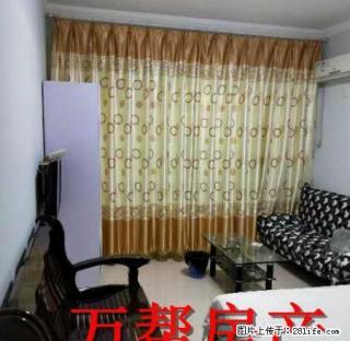 秦巴铭座 1600元 1室1厅1卫 精美装修，楼层佳 - 安康28生活网 ankang.28life.com