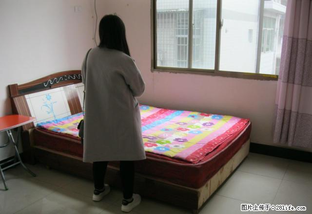 金州南路附近，1室1厨1卫，有家具家电，5楼，已装，采光好！ - 房屋出租 - 房屋租售 - 安康分类信息 - 安康28生活网 ankang.28life.com