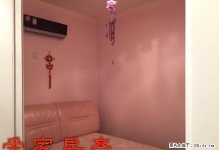 好房出租，赶快行动，煌上煌 2500元 2室1厅1卫 普通装 - 安康28生活网 ankang.28life.com