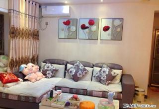 cmy兴安中路南城国际 2600元 2室1厅1卫 精装修 - 安康28生活网 ankang.28life.com