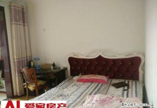 降价了___金州路___高层__家电齐全 - 安康28生活网 ankang.28life.com