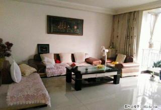 阳光城小区 1500元 2室2厅1卫 精装修，价格便宜，交通 - 安康28生活网 ankang.28life.com