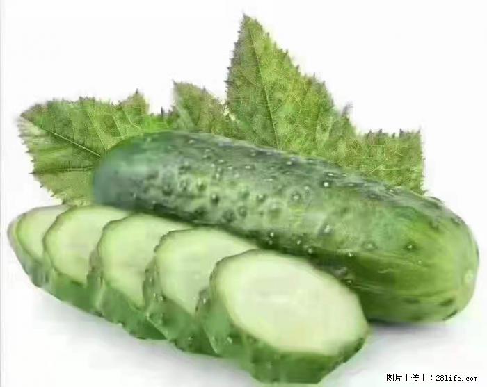 【生活小常识】吃黄瓜的好处 - 生活百科 - 安康生活社区 - 安康28生活网 ankang.28life.com