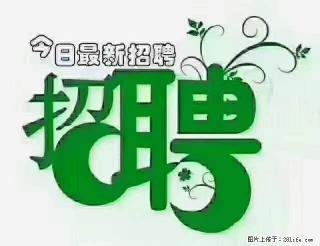 上海青浦区招仓管 - 安康28生活网 ankang.28life.com