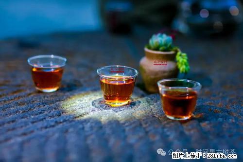 时间果百年古树2025年春红茶 - 购物交流 - 安康生活社区 - 安康28生活网 ankang.28life.com