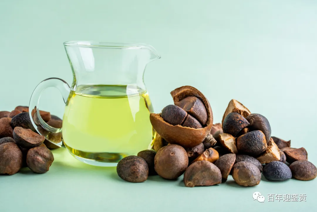 世界没有真相，只有认知，最好的食用油是中国的山茶油！ - 安康生活资讯 - 安康28生活网 ankang.28life.com
