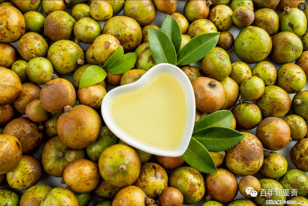 世界没有真相，只有认知，最好的食用油是中国的山茶油！ - 安康生活资讯 - 安康28生活网 ankang.28life.com