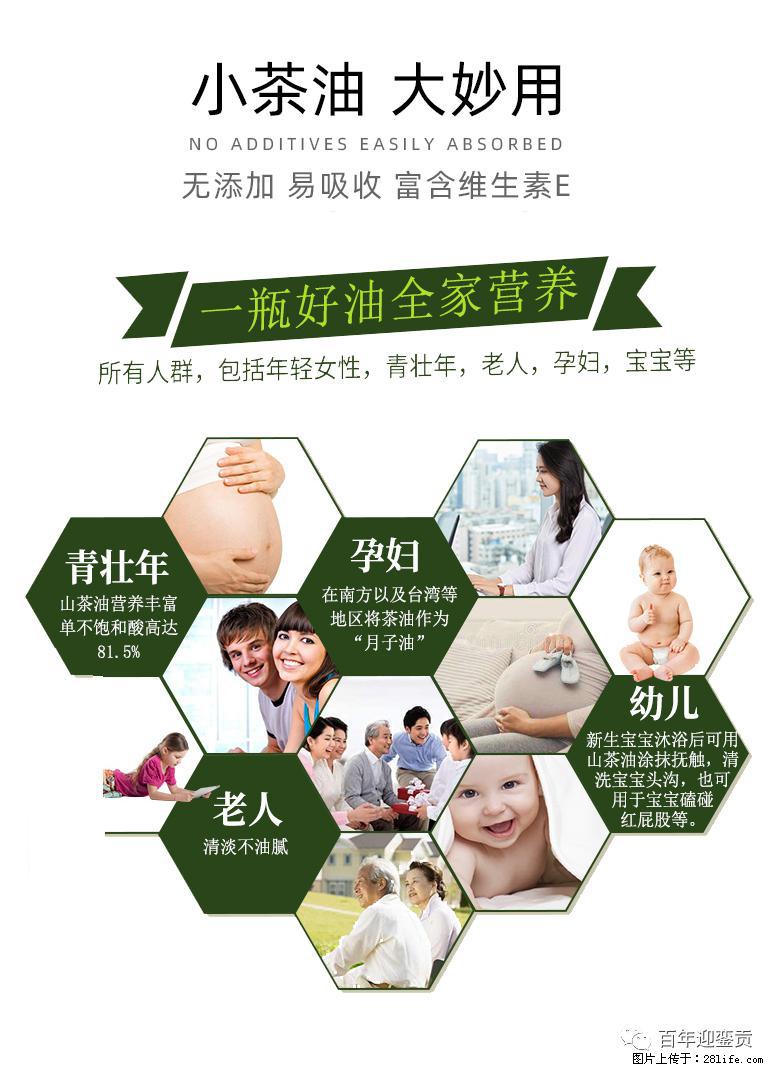 世界没有真相，只有认知，最好的食用油是中国的山茶油！ - 安康生活资讯 - 安康28生活网 ankang.28life.com