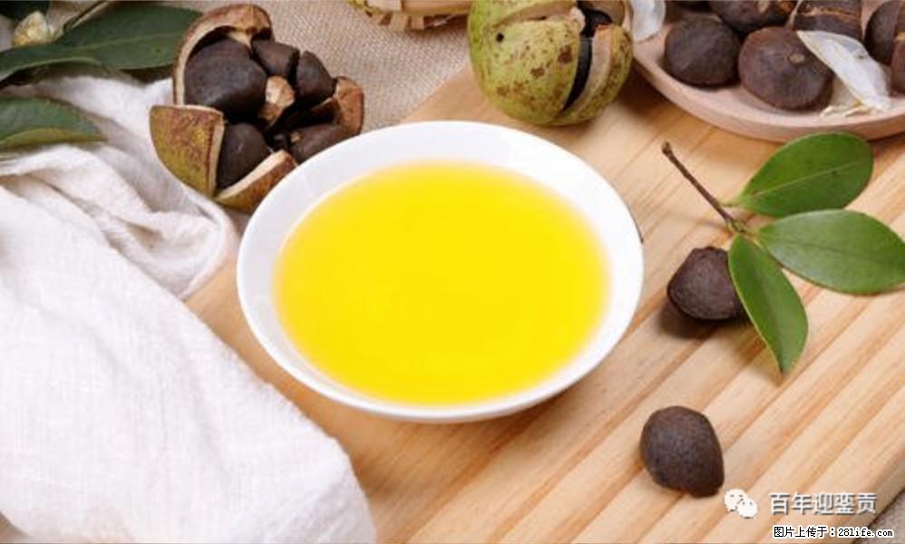 世界没有真相，只有认知，最好的食用油是中国的山茶油！ - 安康生活资讯 - 安康28生活网 ankang.28life.com