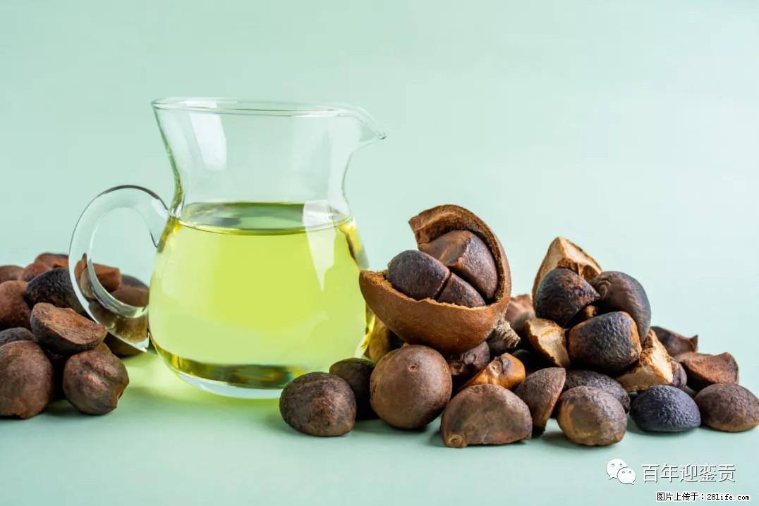 世界没有真相，只有认知，最好的食用油是中国的山茶油！ - 安康生活资讯 - 安康28生活网 ankang.28life.com