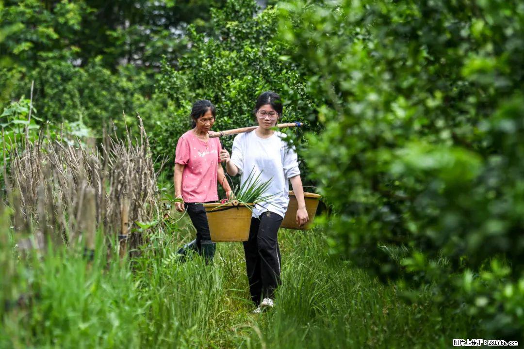 全网追的“扁担女孩”,找了一份暑假工,时薪12元 - 安康生活资讯 - 安康28生活网 ankang.28life.com