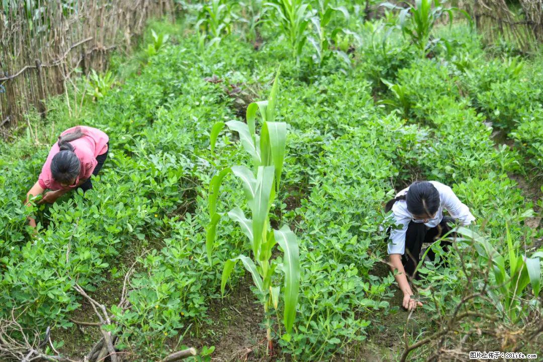 全网追的“扁担女孩”,找了一份暑假工,时薪12元 - 安康生活资讯 - 安康28生活网 ankang.28life.com