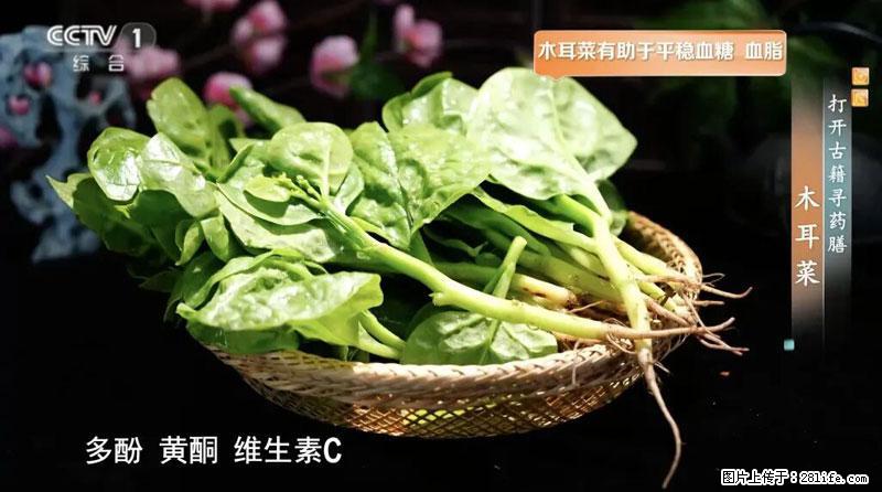 比牛奶补钙还厉害!凉血解毒、稳血糖...这菜冬天必吃,很多人却当草 - 安康生活资讯 - 安康28生活网 ankang.28life.com