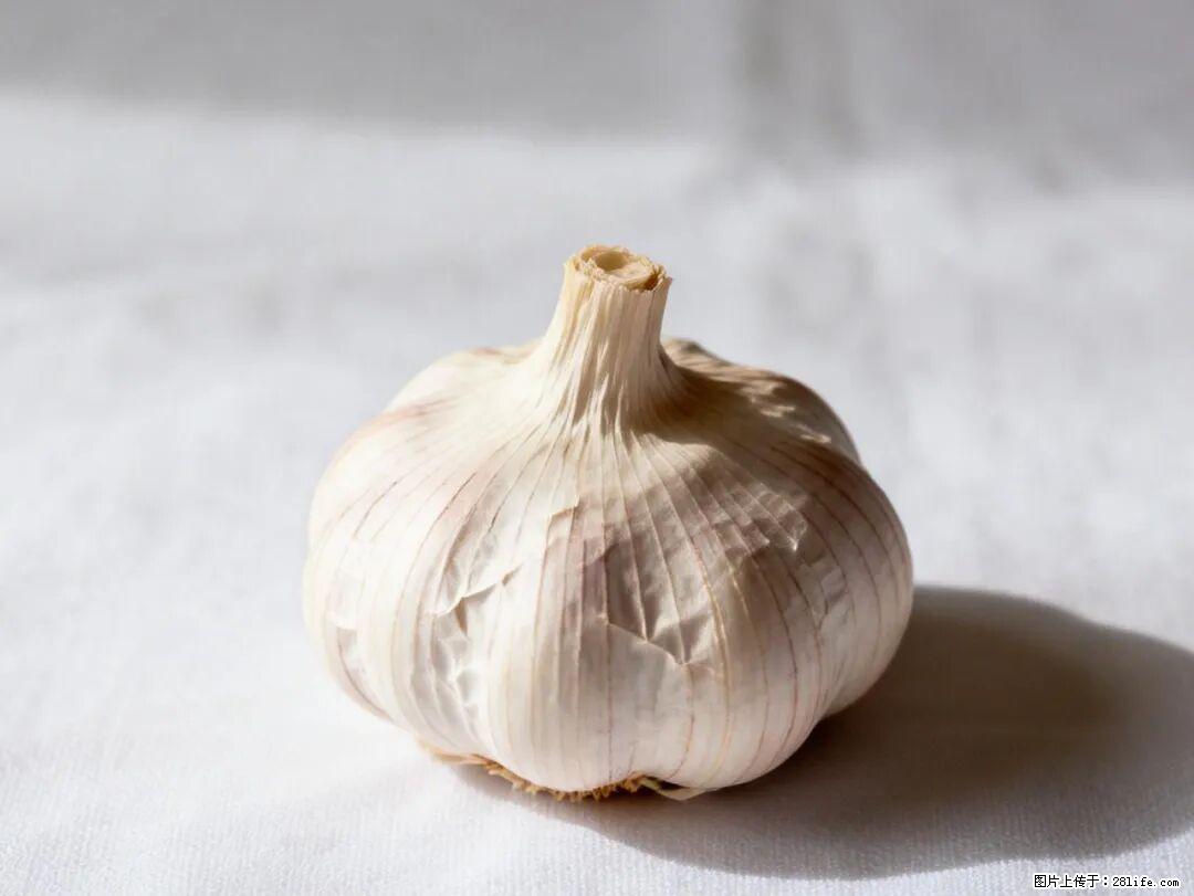 关于大蒜，除了“天然抗生素”，这4个谣言更该警惕! - 安康生活资讯 - 安康28生活网 ankang.28life.com