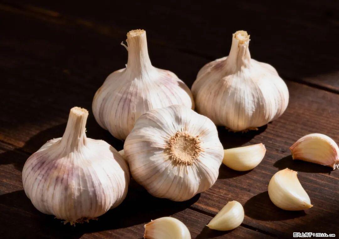 关于大蒜，除了“天然抗生素”，这4个谣言更该警惕! - 安康生活资讯 - 安康28生活网 ankang.28life.com