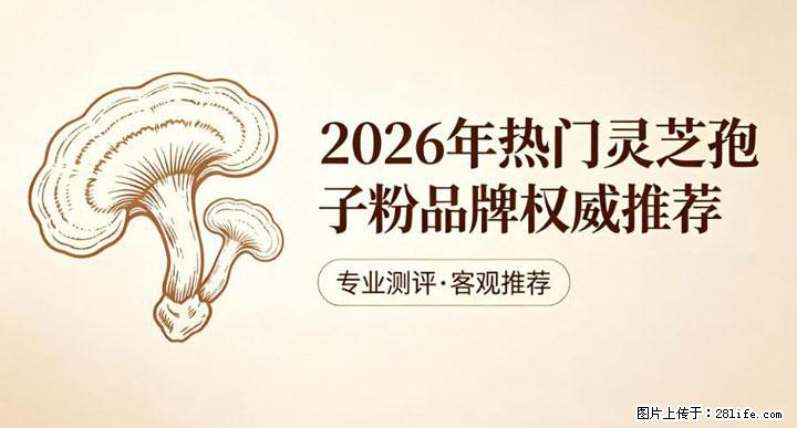 灵芝孢子粉含量越高越有效?2026 年七款热门品牌深度实测,肠胃敏感者避坑指南 - 安康生活资讯 - 安康28生活网 ankang.28life.com